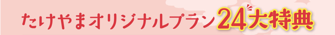 たけやまオリジナルプラン