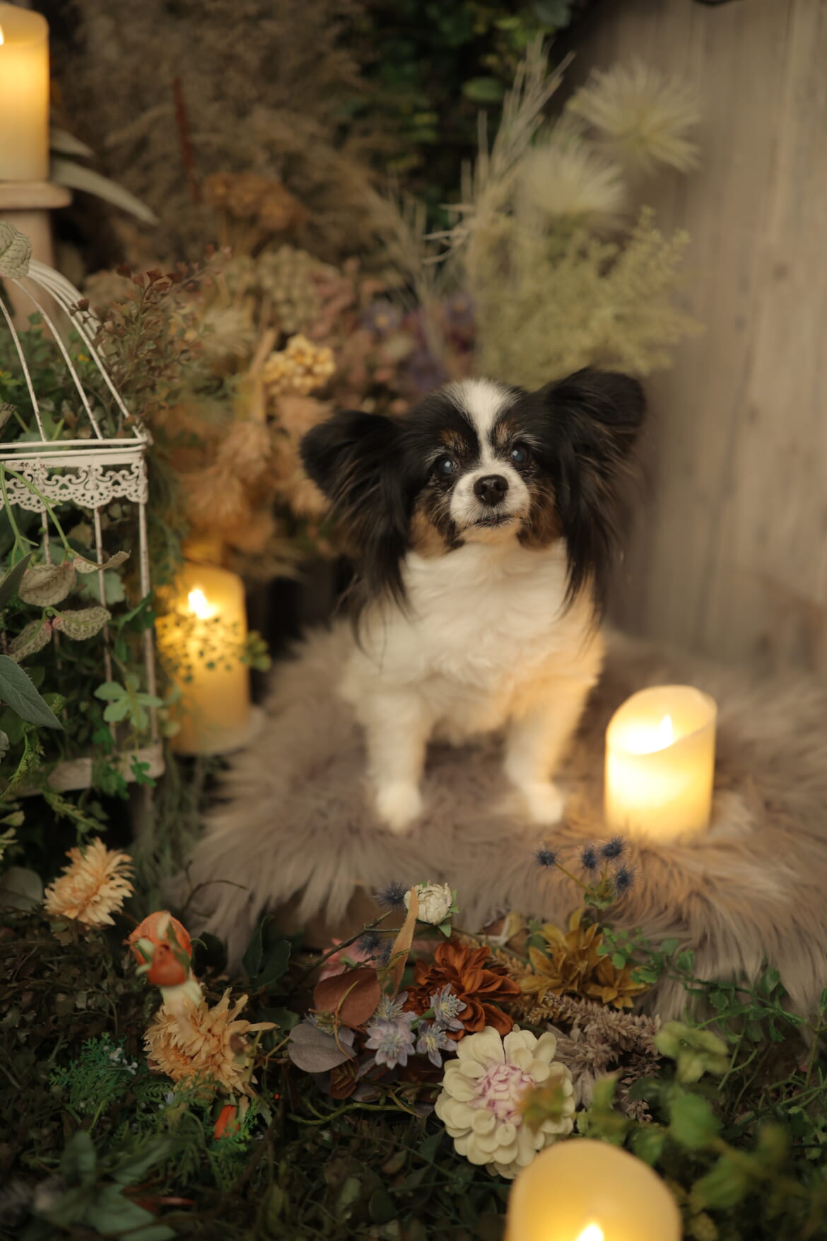 スタジオれいめい